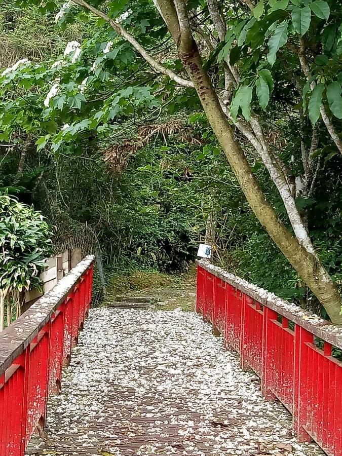 Dingdai Cherry Blossoms Resort Nantou Экстерьер фото